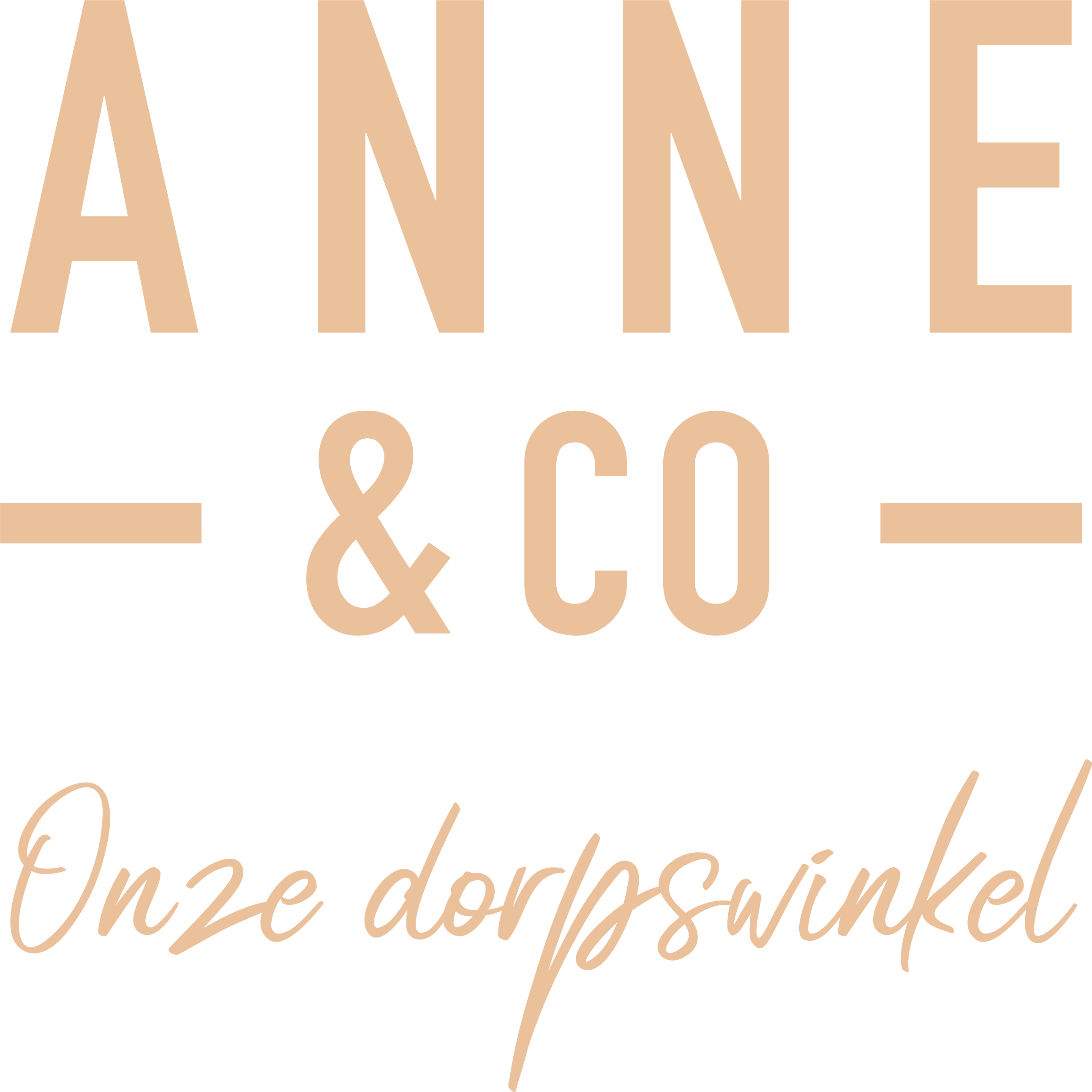 Anne & Co Logo